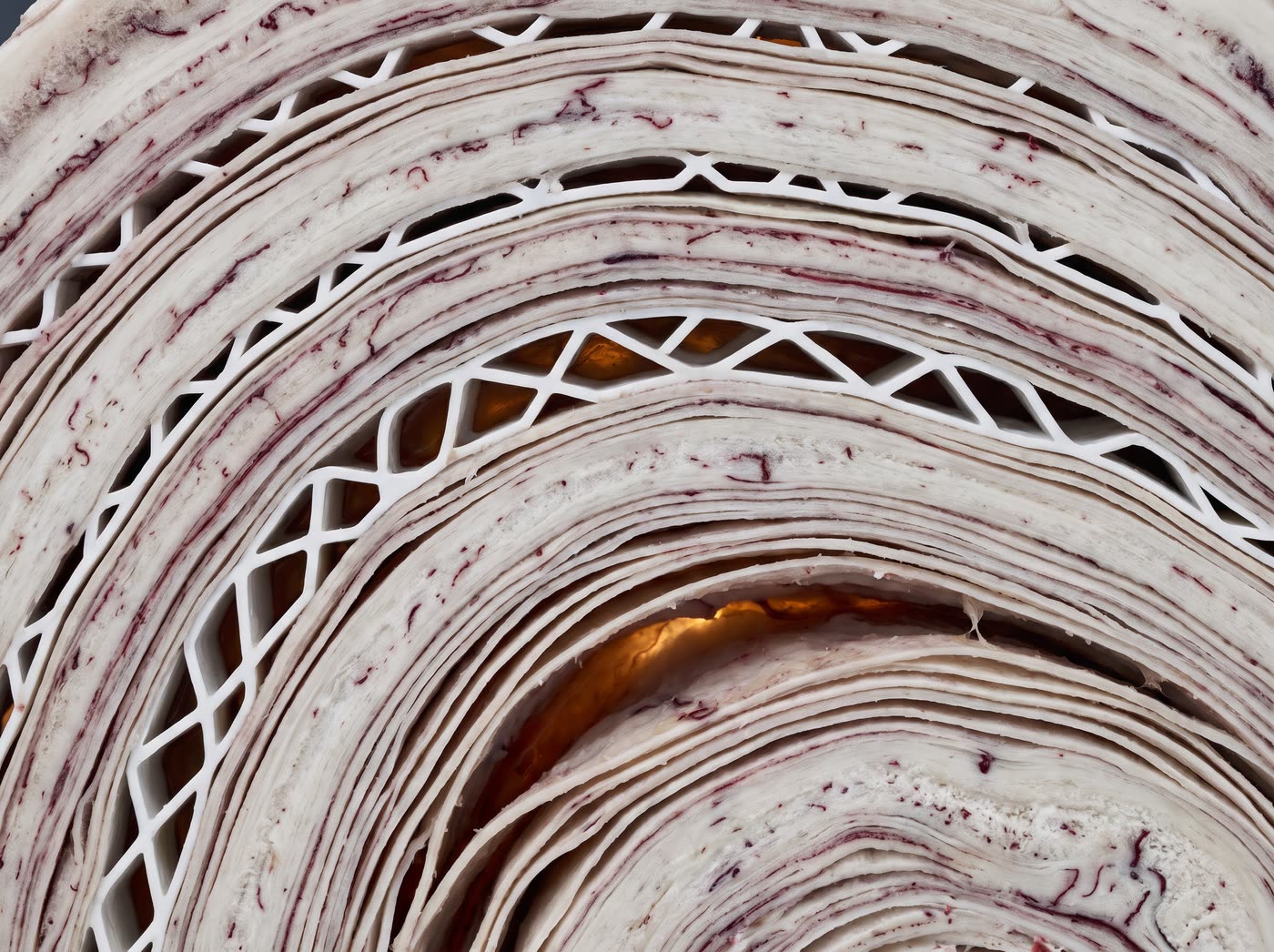 Section through a full-scale substrate body